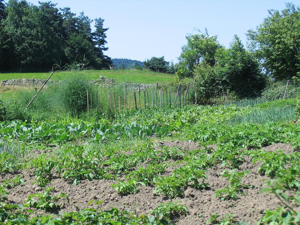 Bed and Breakfast La Ferme Des Genets Medeyrolles Exterior foto